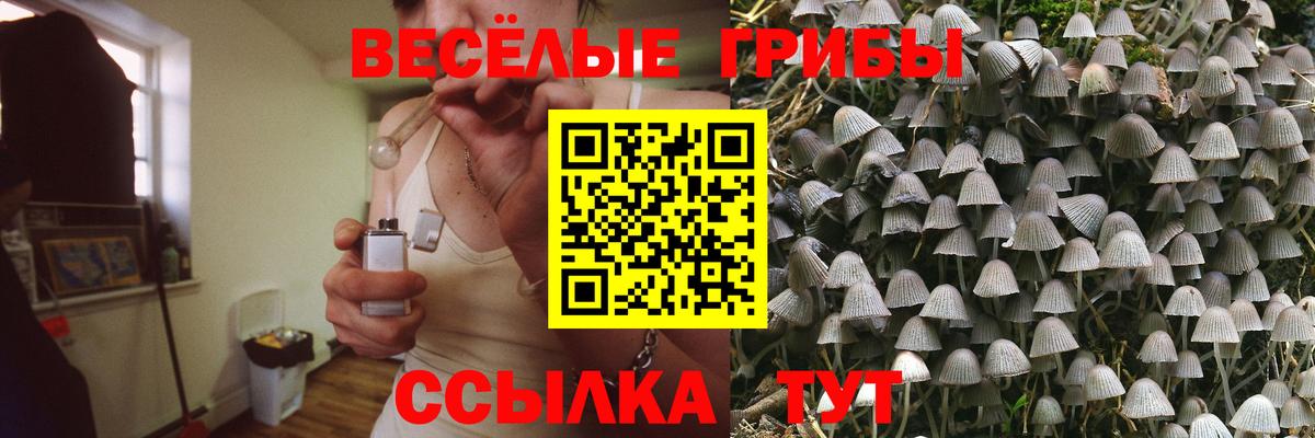 Псилоцибиновые грибы мухоморы Аксай