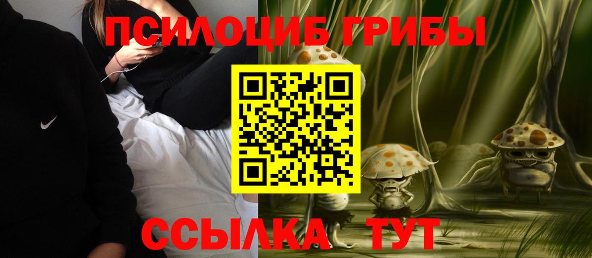 Аксай  цены наркотик  Вход с VPN  Псилоцибиновые грибы Magic Shrooms 